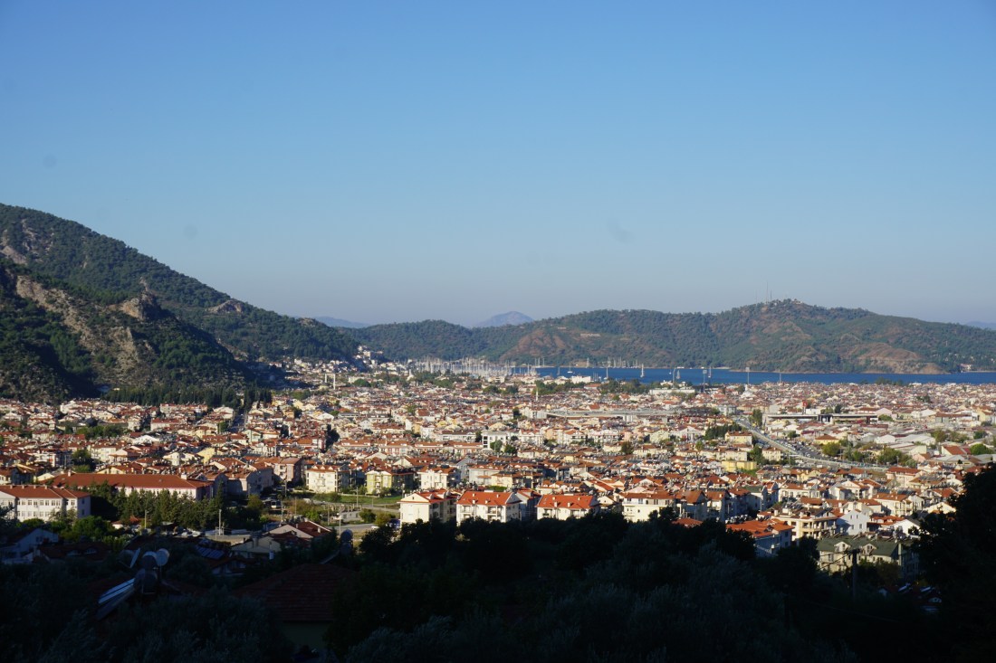 DSC07103