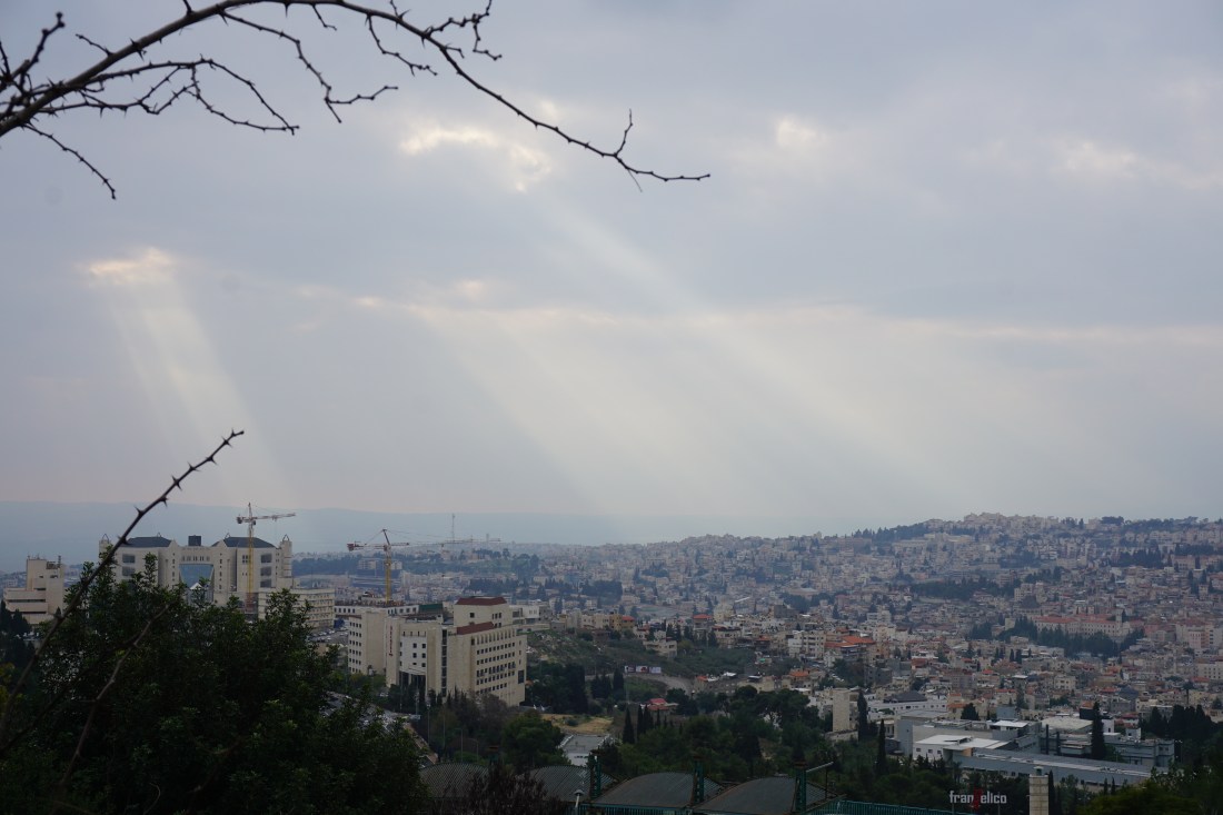 DSC08645