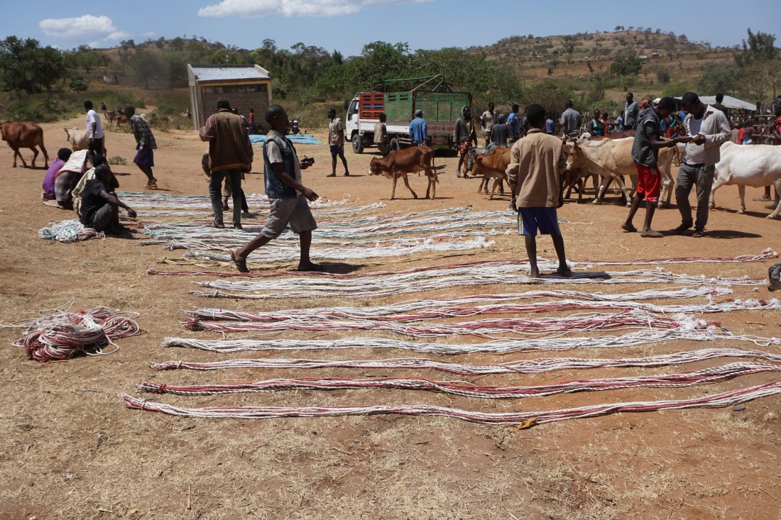 DSC02322