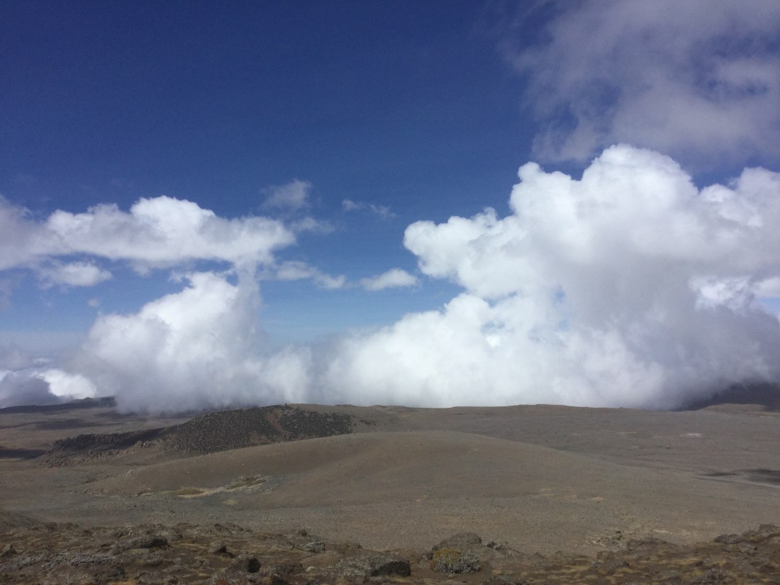 IMG-3069
