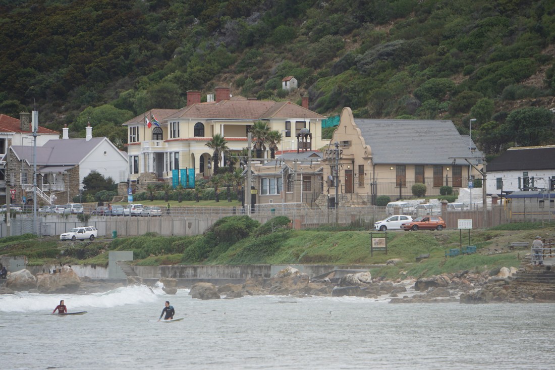 DSC05789 (1)