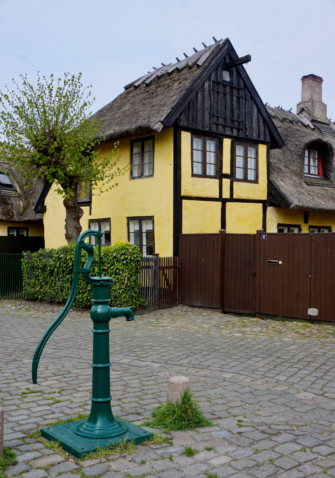 DSC07554 (1)