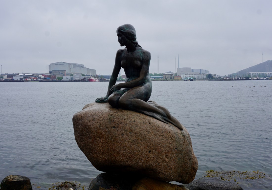 DSC07620