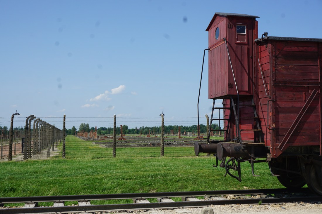 DSC09629